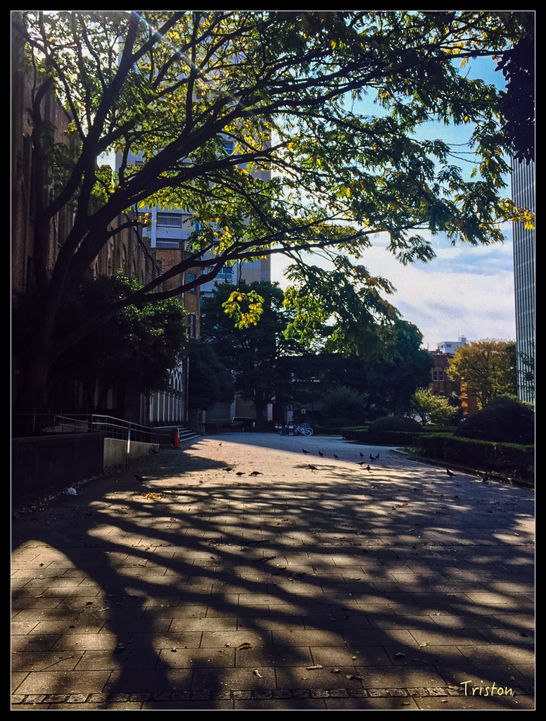 S__7544838.jpg - 20151031 秋天的童話-貴婦東京輕井澤紀行