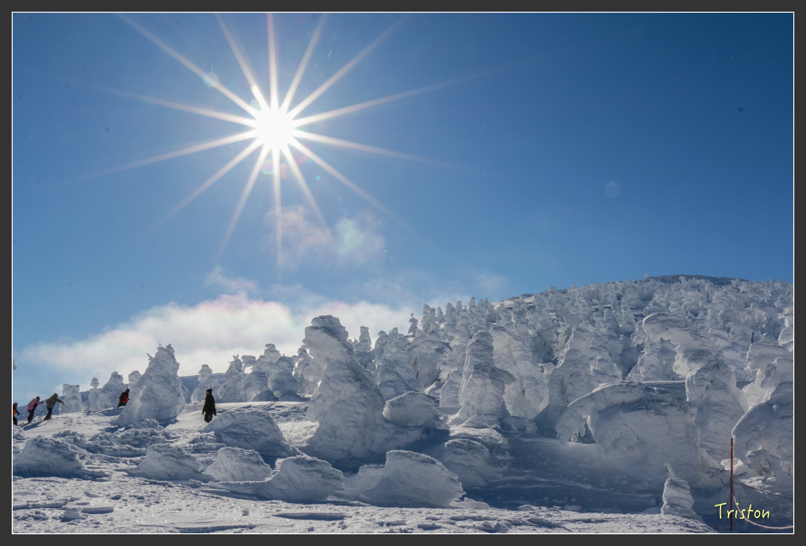 2016ZAO-01562.jpg - 20160131 日本藏王溫泉滑雪親子行
