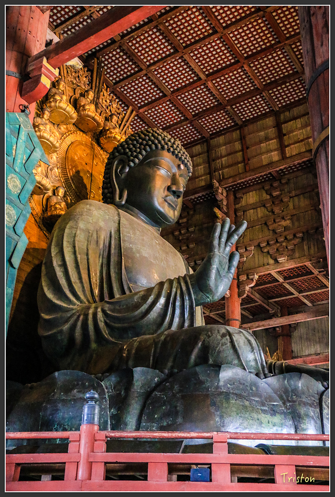 IMG_4367.jpg - 20160323 日本熊野古道健行