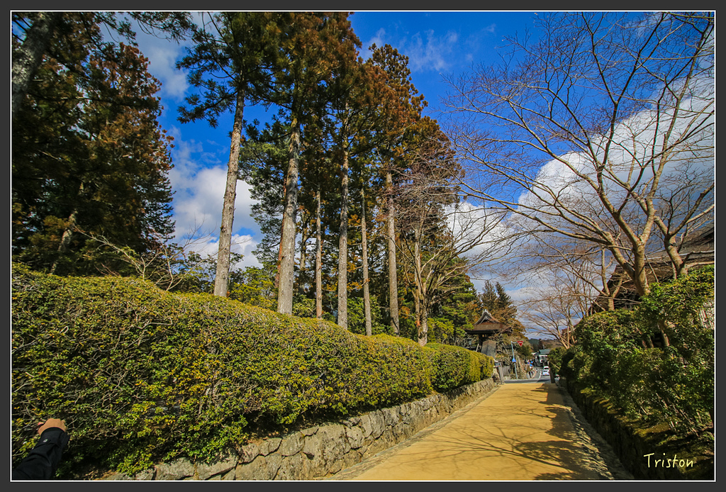 IMG_4531.jpg - 20160323 日本熊野古道健行