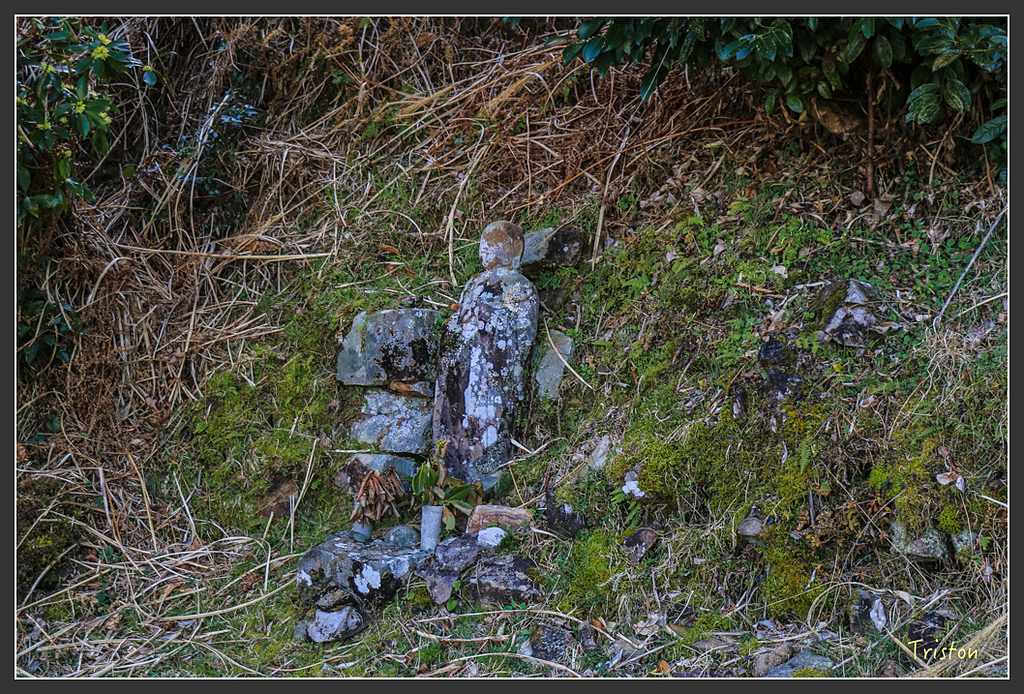 IMG_4663.jpg - 20160323 日本熊野古道健行