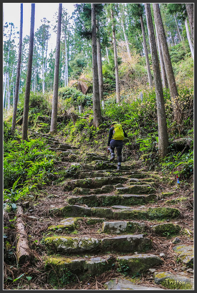 IMG_5307.jpg - 20160323 日本熊野古道健行