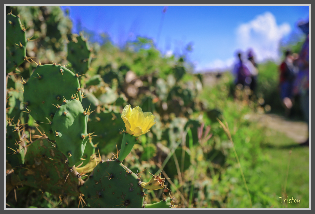 JH1A1322.jpg - 20160701 澎湖