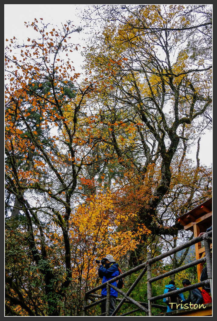 _MG_2721.jpg - 20161013 稻城亞丁