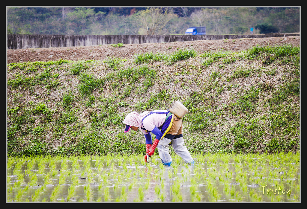 2017-02-27 10.03.54 下午 _MG_0735.jpg - 20170225 玉里瓦拉米