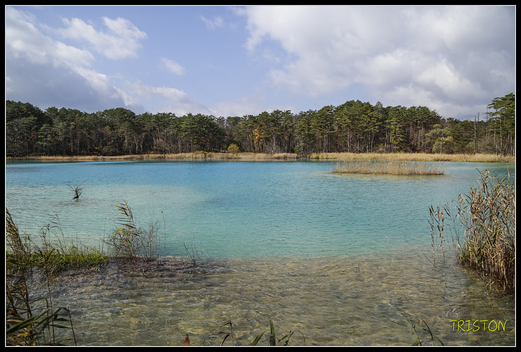 _H1A1269.jpg - 20171103 日本只見線、會津若松五色沼、昭和記念公園賞紅葉