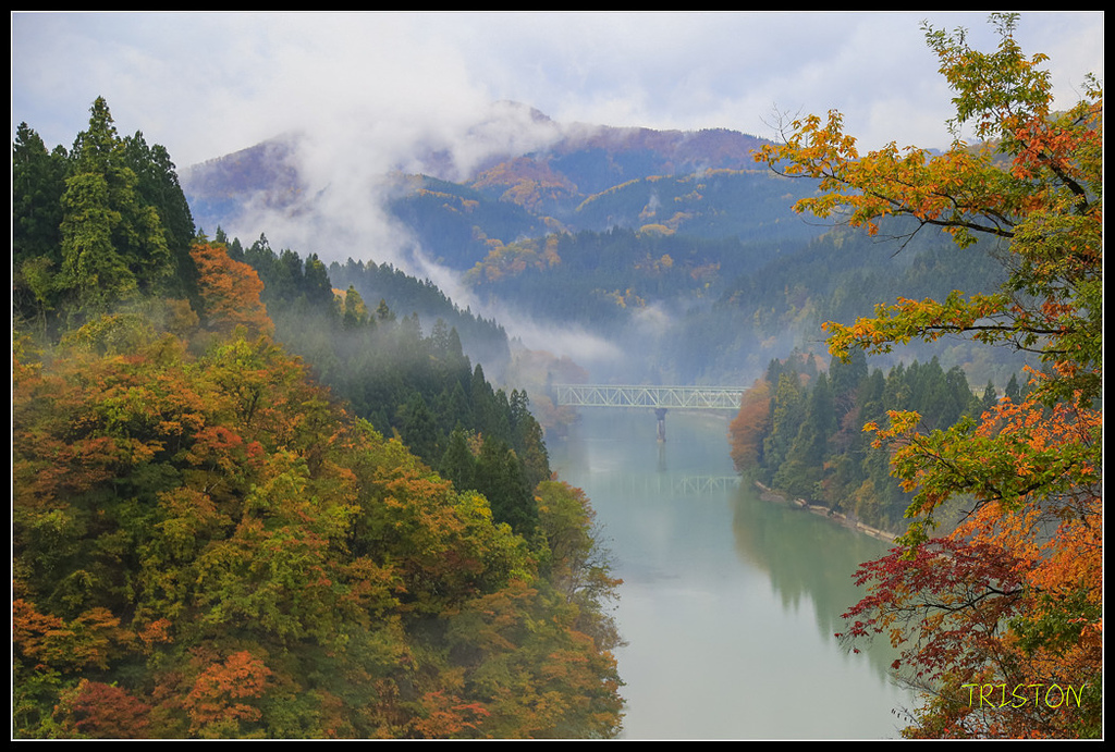 _H1A0380.jpg - 20171103 日本只見線、會津若松五色沼、昭和記念公園賞紅葉