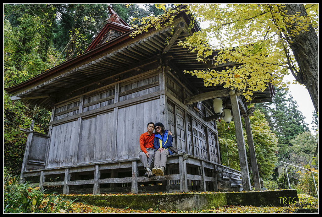 _H1A0746.jpg - 20171103 日本只見線、會津若松五色沼、昭和記念公園賞紅葉