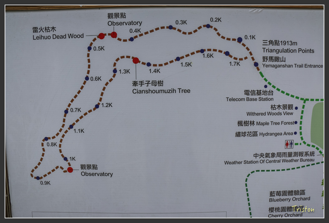 IMG_3430.jpg - 20160227 觀霧森林步道