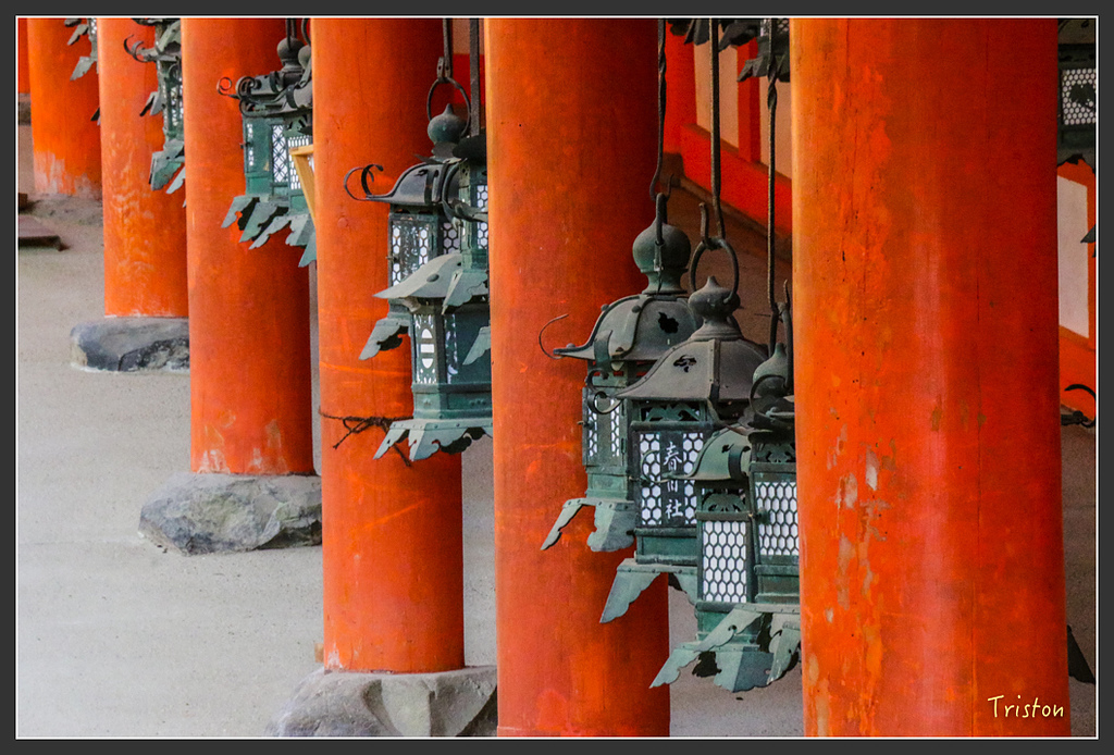 IMG_4063.jpg - 20160323 日本熊野古道健行