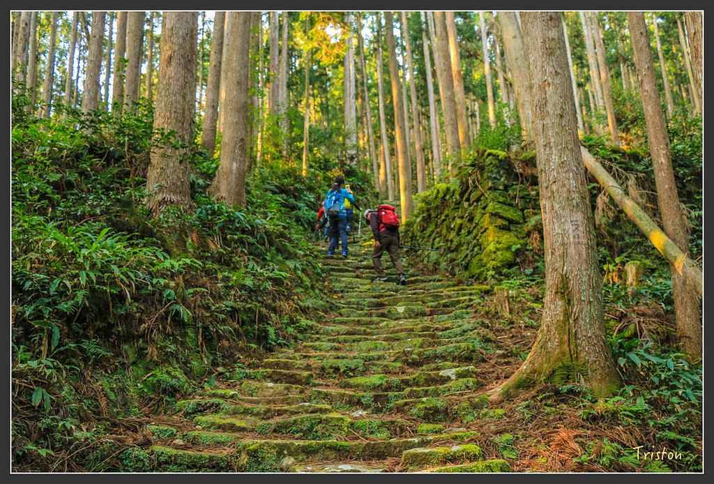 IMG_5324.jpg - 20160323 日本熊野古道健行