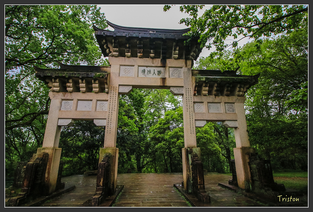 IMG_6460.jpg - 20160409 武夷山之旅