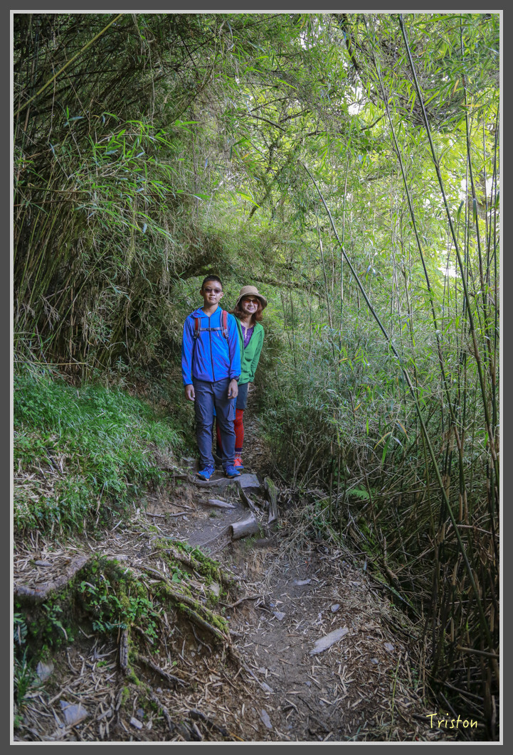 JH1A0188.jpg - 20160806 小奇萊步道、清境國小