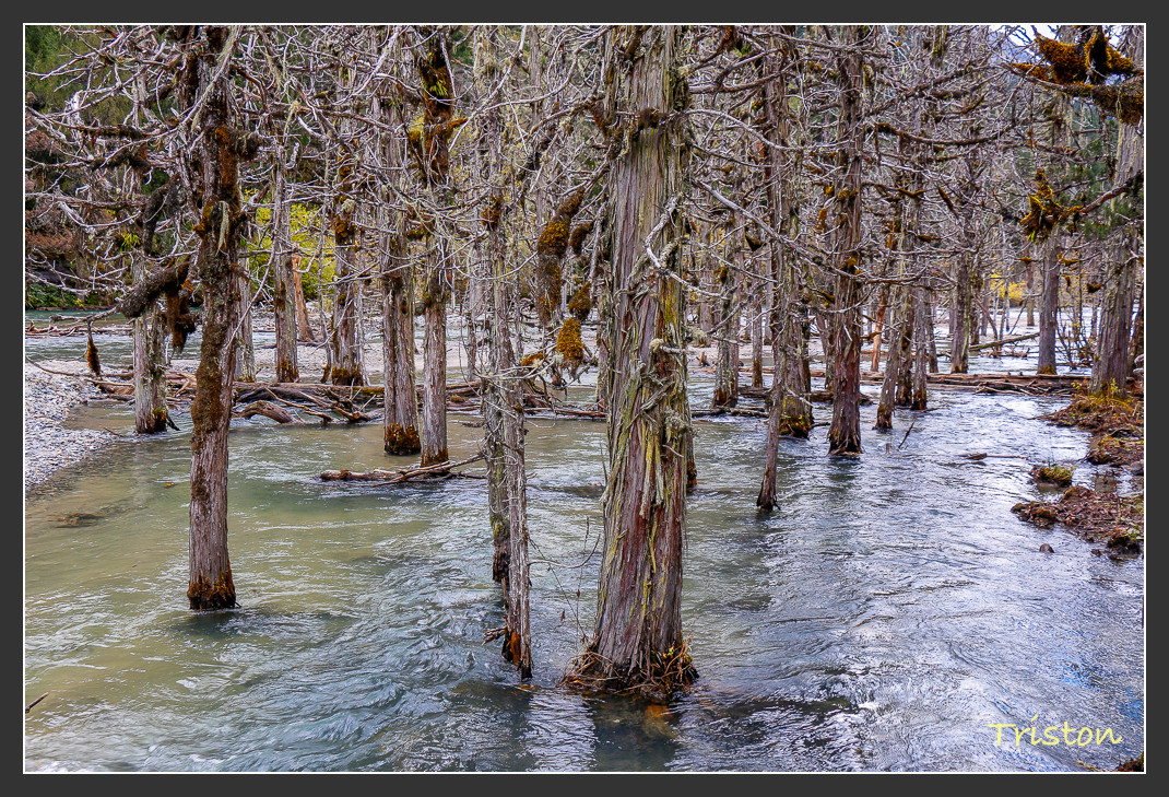 _MG_1033.jpg - 20161013 稻城亞丁