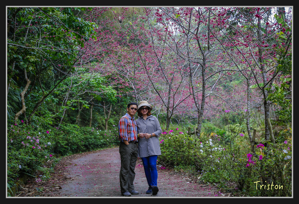 _H1A2531.jpg - 20170311 草嶺