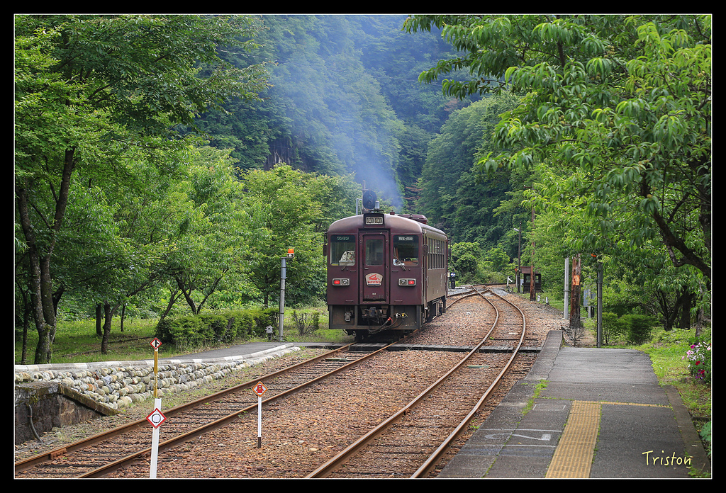 JH1A9823.jpg - 20150628 東京輕井澤日光