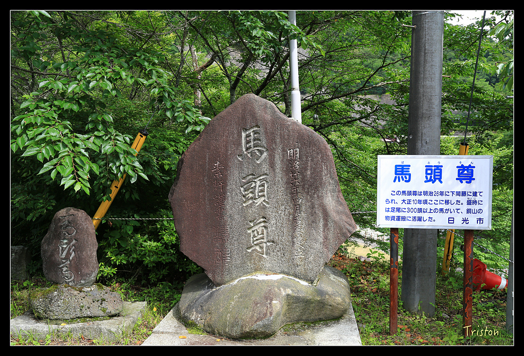 JH1A9880.jpg - 20150628 東京輕井澤日光