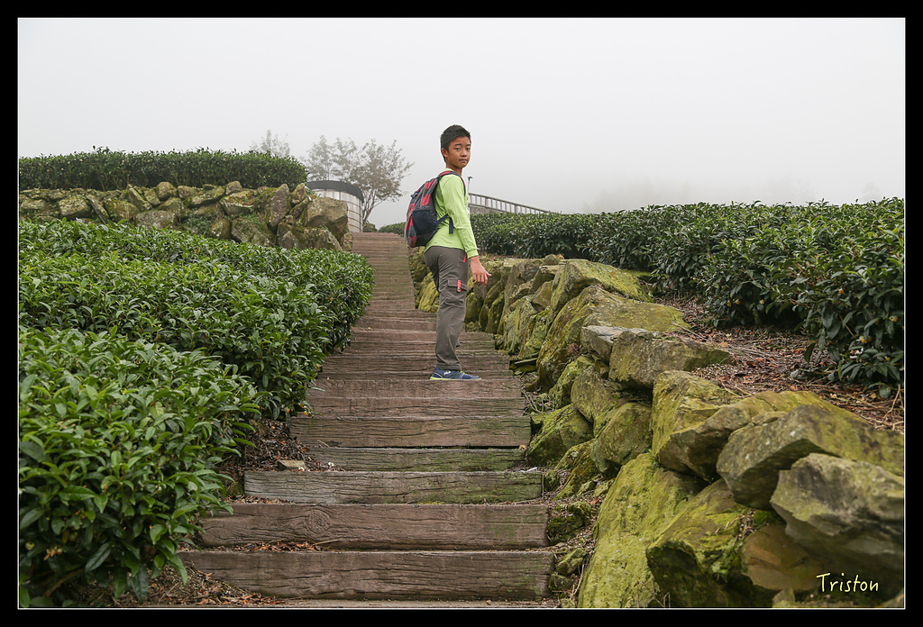 JH1A9727.jpg - 20150920 石棹,霧之道 茶之道 雲之道