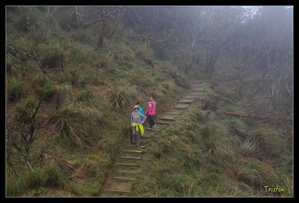 JH1A0228.jpg - 20151024~25 幾米公園、翠峰湖、翠峰山屋、望洋山步道、山毛櫸步道