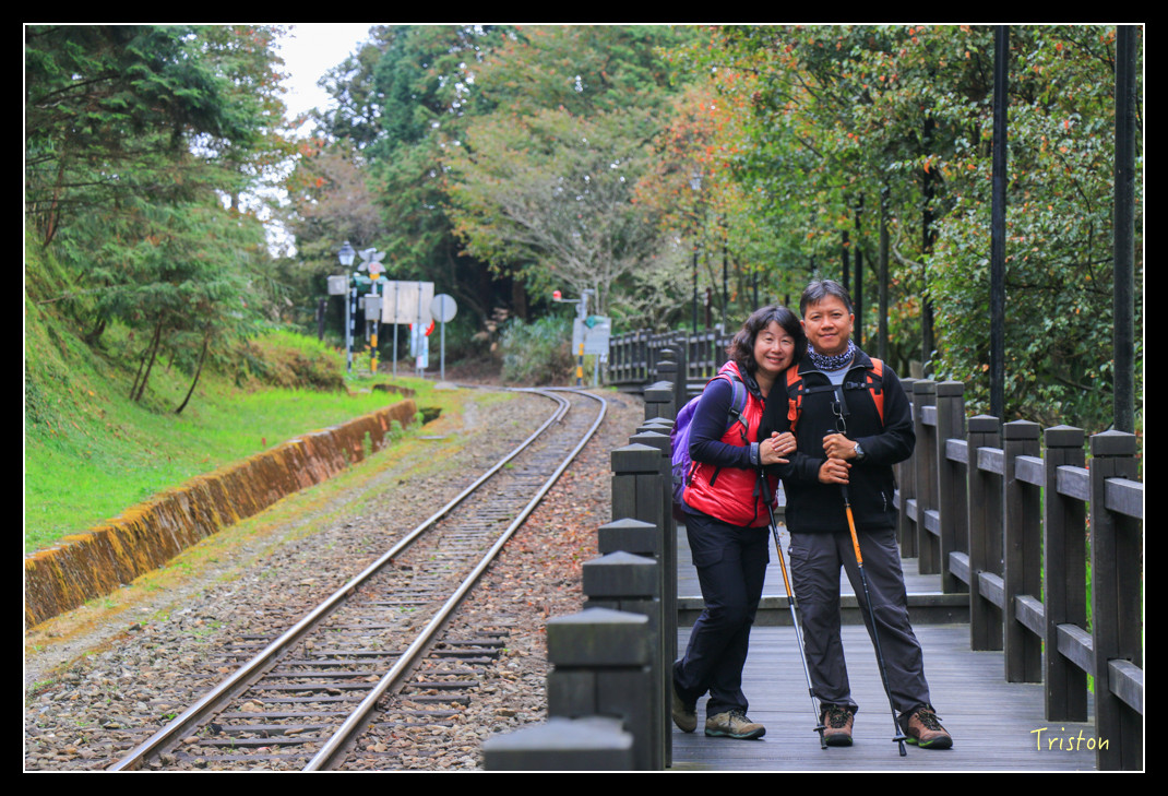 IMG_9402.jpg - 20151130 小笠原山、對高岳