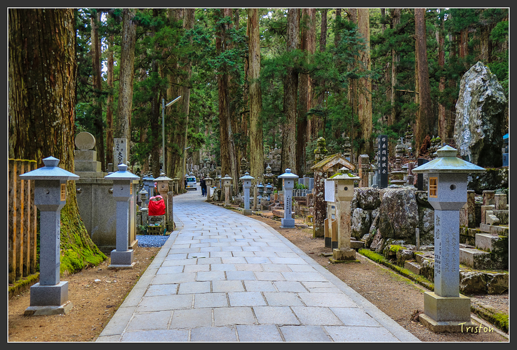 IMG_4590.jpg - 20160323 日本熊野古道健行