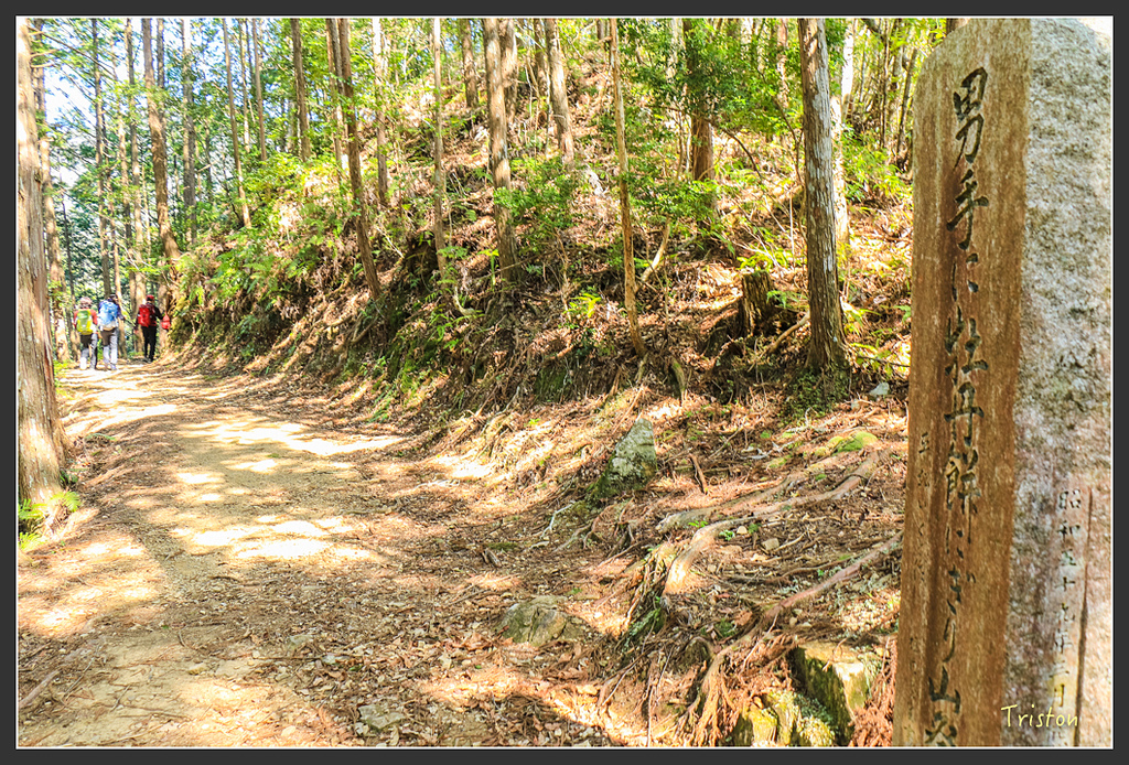 IMG_5182.jpg - 20160323 日本熊野古道健行