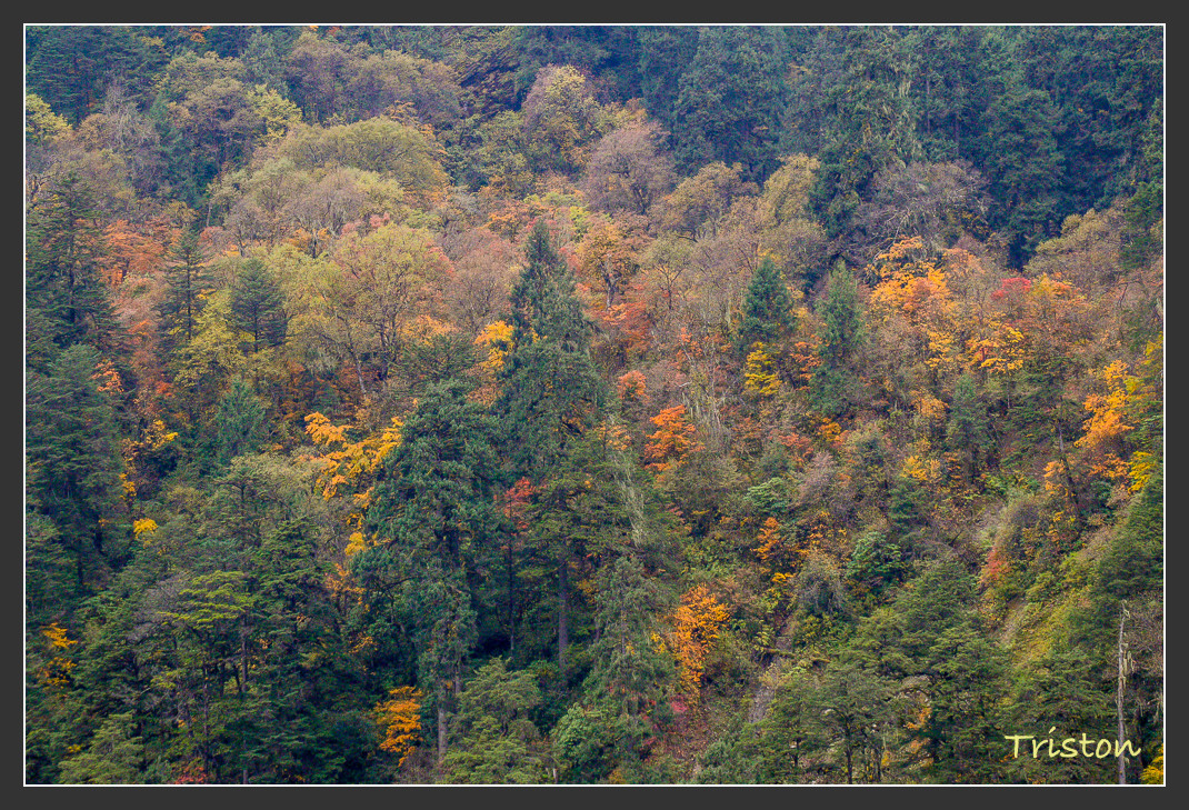_MG_2718.jpg - 20161013 稻城亞丁