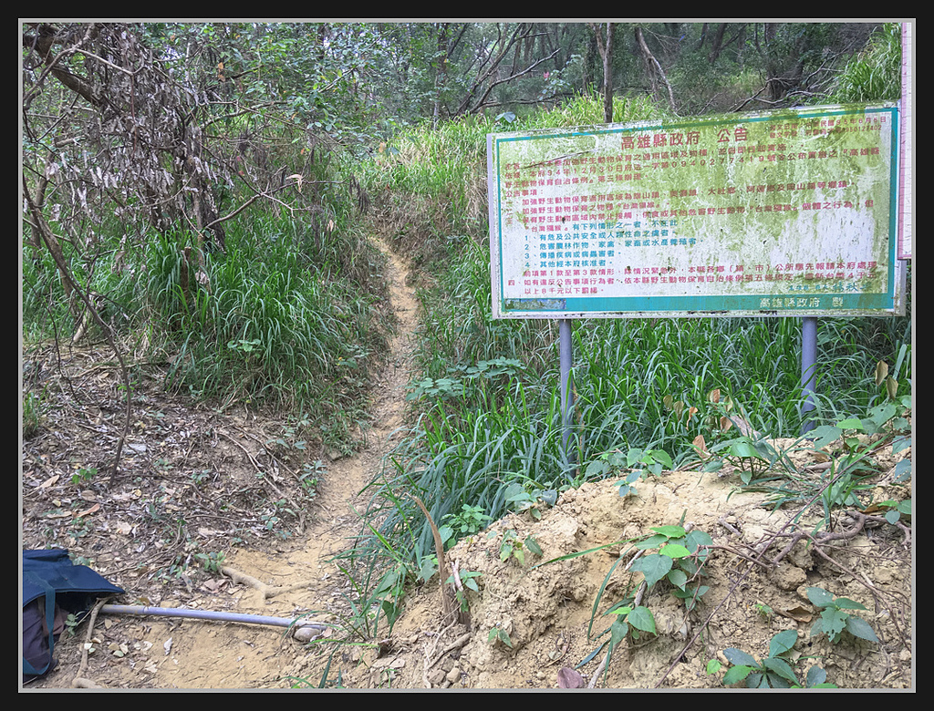 IMG_2194.jpg - 20170204 大社觀音山