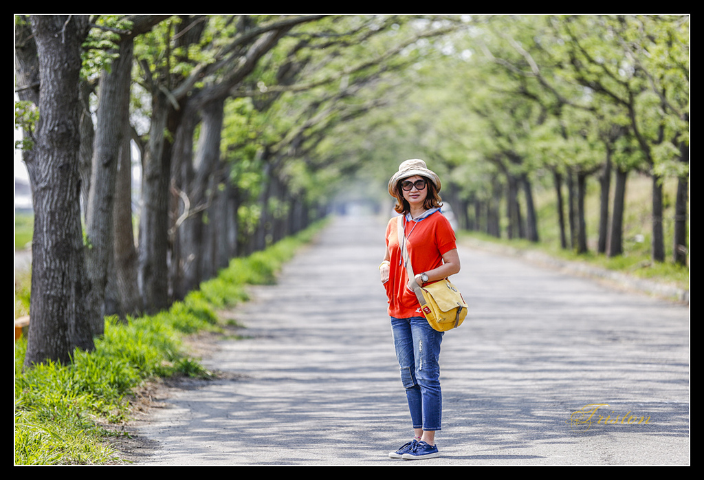 _H1A2981.jpg - 20170328 嘉義苦楝花隧道