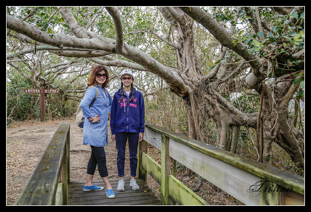 _H1A3204.jpg - 20170401 墾丁