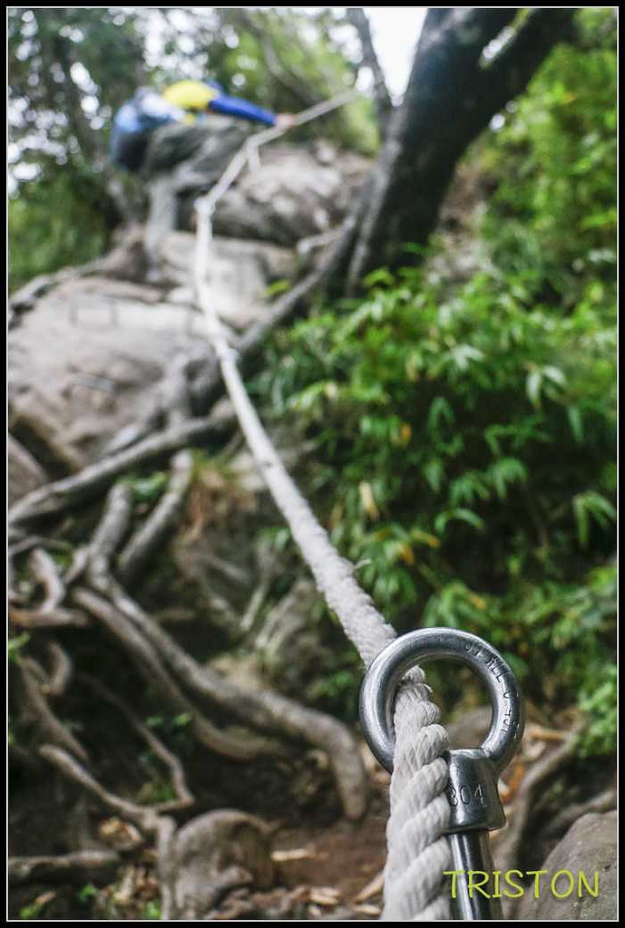 _MG_0120.jpg - 20170920 加里山