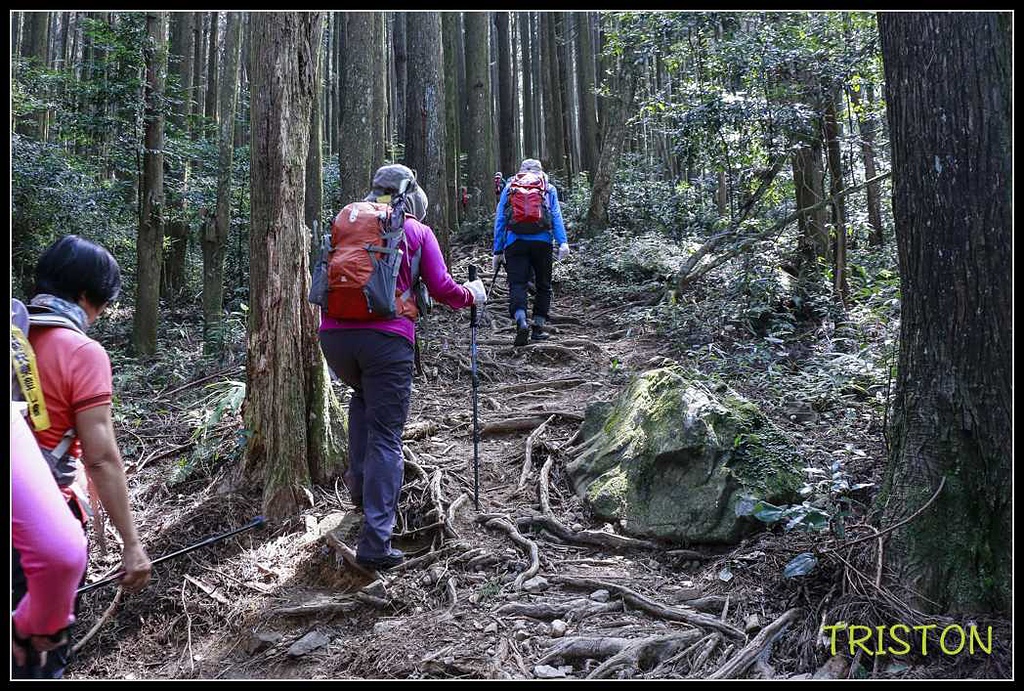 _MG_0008.jpg - 20170920 加里山