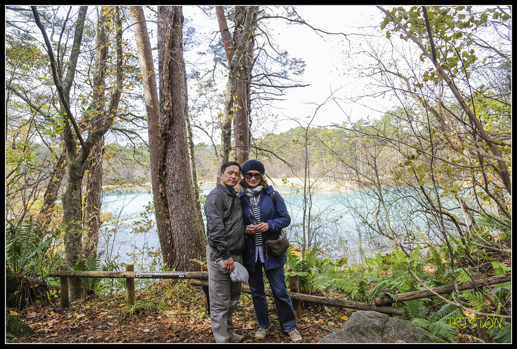 _H1A1261.jpg - 20171103 日本只見線、會津若松五色沼、昭和記念公園賞紅葉