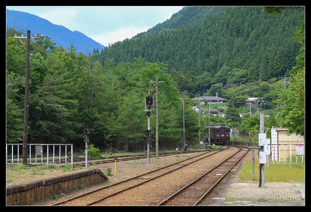 JH1A9869.jpg - 20150628 東京輕井澤日光