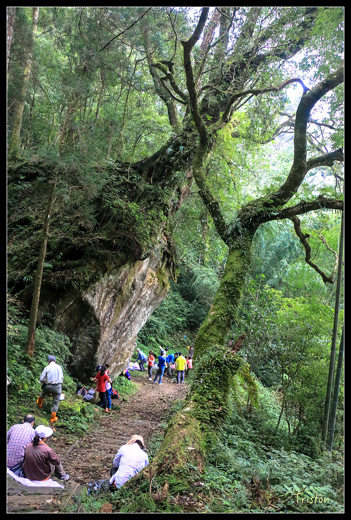 IMG_8313.jpg - 20150926 大凍山切霹靂山 抵龍雲山莊