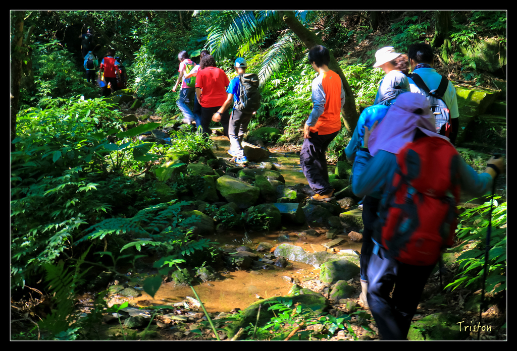 IMG_0491.jpg - 20151107 富士坪古道