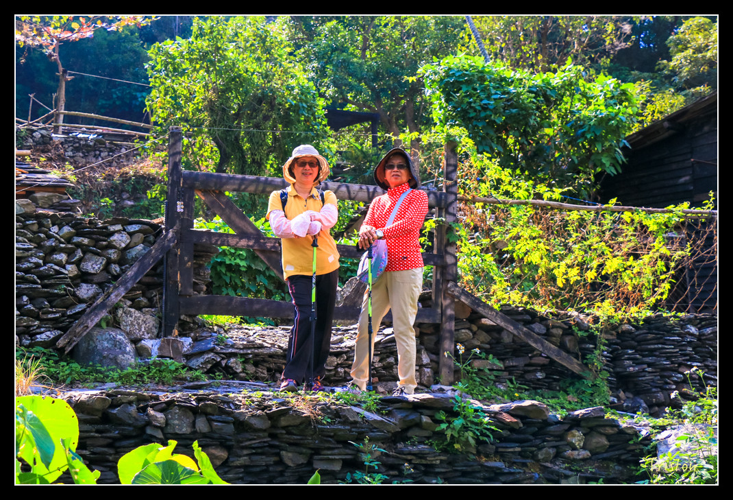 IMG_9537.jpg - 20151202 老七佳部落