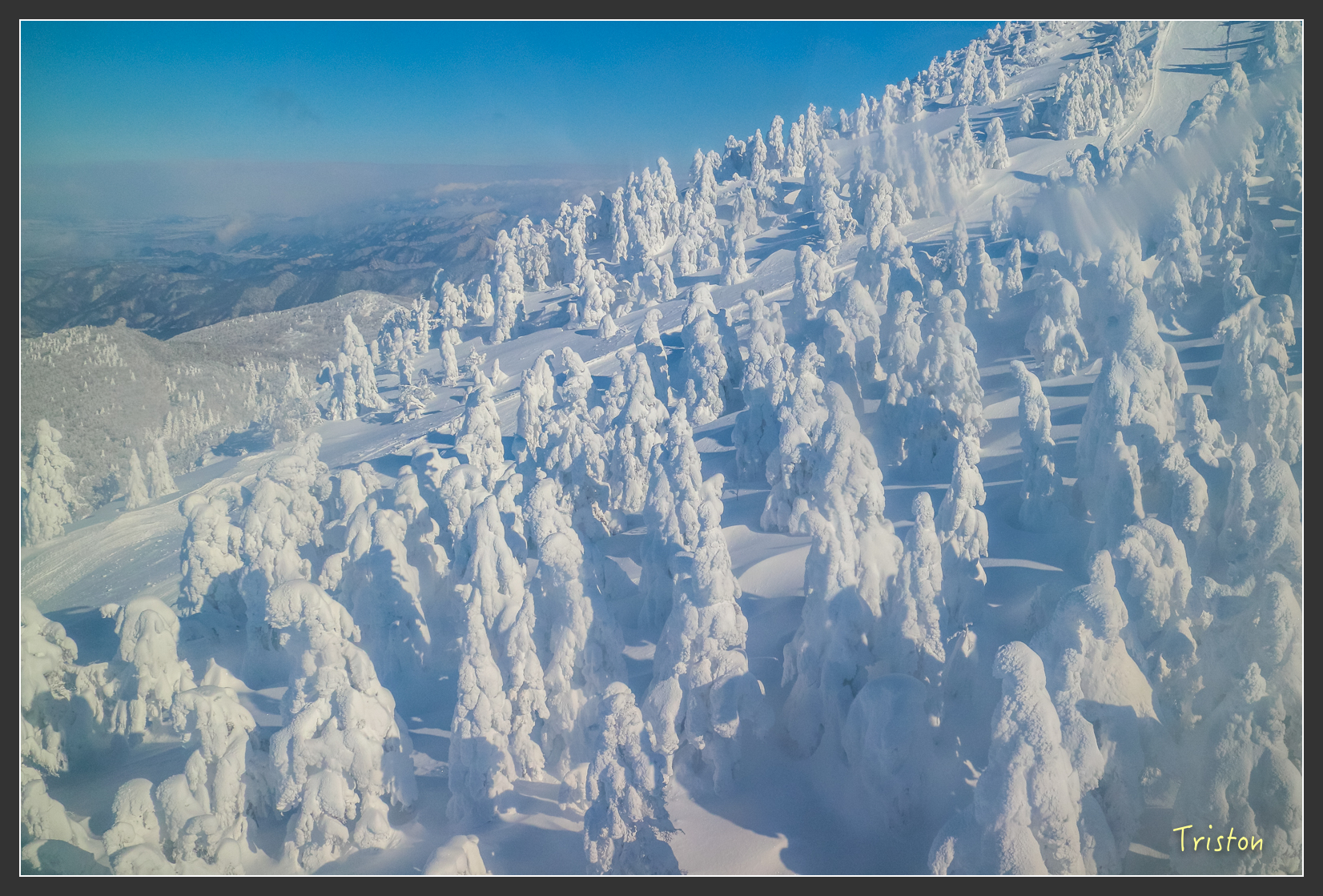 2016ZAO-01564.jpg - 20160131 日本藏王溫泉滑雪親子行
