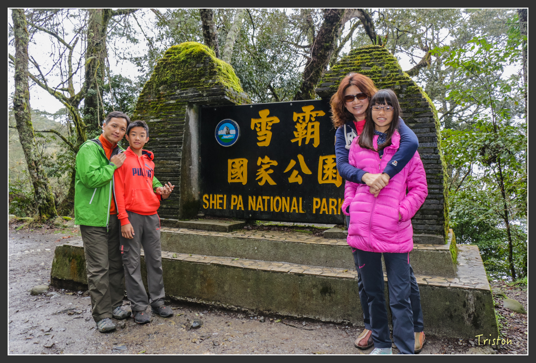 IMG_3232.jpg - 20160227 觀霧森林步道