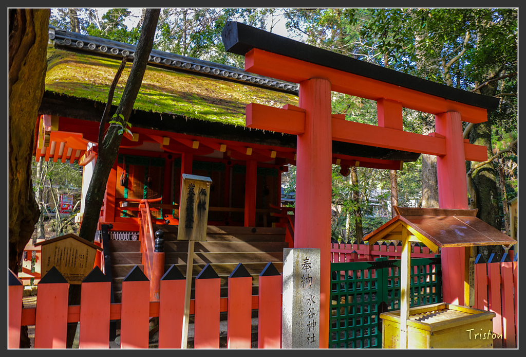 IMG_4116.jpg - 20160323 日本熊野古道健行