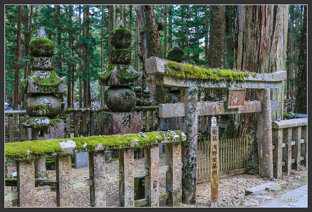 IMG_4592.jpg - 20160323 日本熊野古道健行