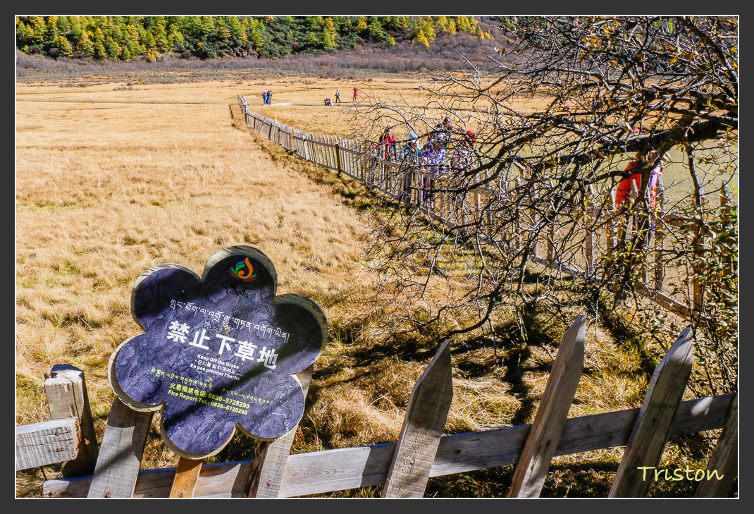 _MG_1902.jpg - 20161013 稻城亞丁