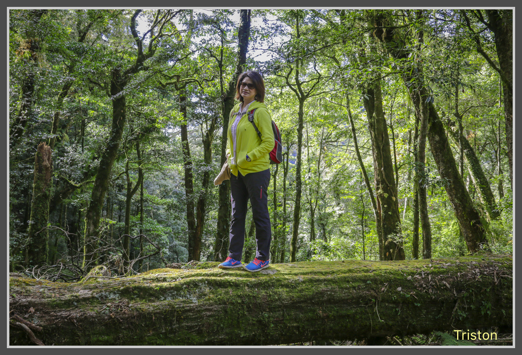 JH1A0545.jpg - 20161105 大雪山