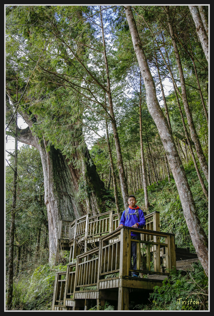 0090.jpg - 20161231 明池 神木園
