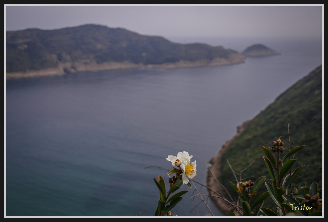 00352.jpg - 20170107 香港健行