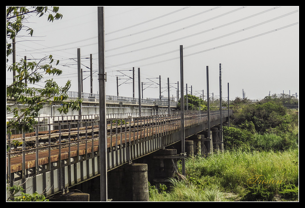 IMG_0003.jpg - 20170327 二層行溪鐵橋+環頸雉
