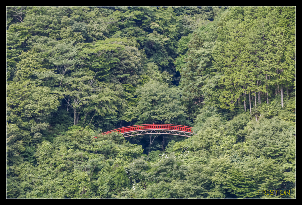 _MG_0620.jpg - 20170702 靜岡東海道之旅