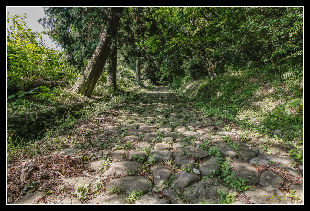 _MG_0116.jpg - 20170702 靜岡東海道之旅