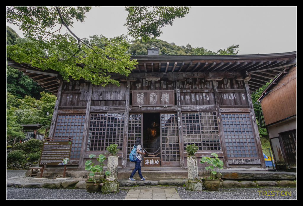 _MG_1183.jpg - 20170702 靜岡東海道之旅