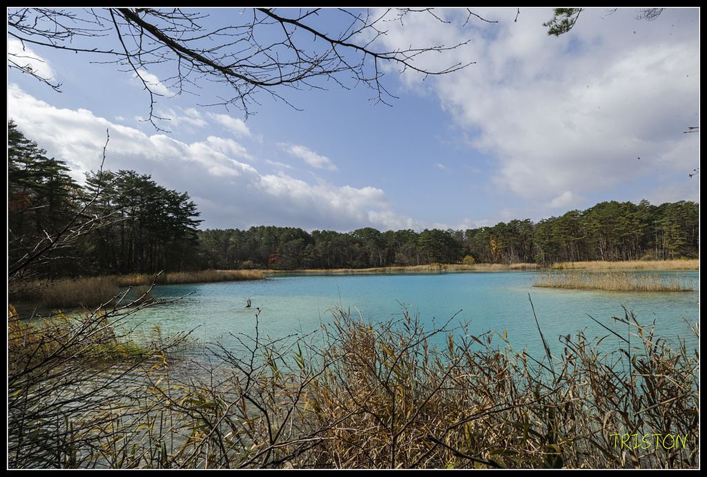 _H1A1278.jpg - 20171103 日本只見線、會津若松五色沼、昭和記念公園賞紅葉